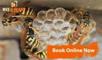 Bee Removal Melbourne image 7